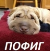 ������ ��� pofig13