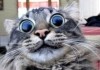 ������ ��� ������������