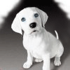 ������ ��� darken22